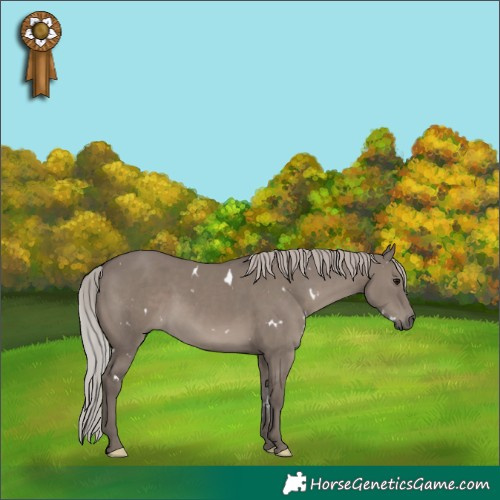 Horse Color:White Spotted Silver Grullo Mushroom 