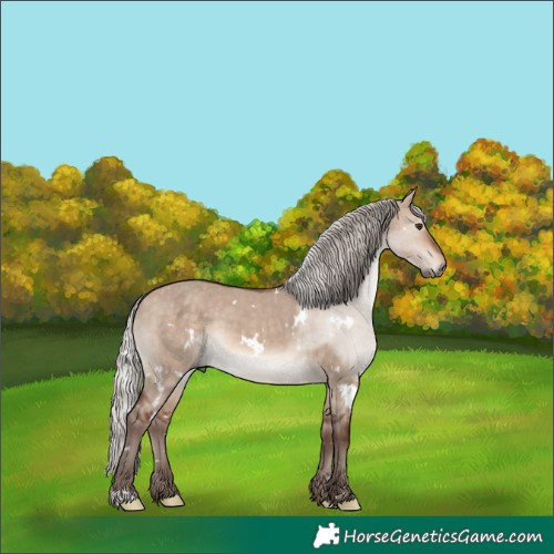 Horse Color:White Spotted Silver Brown Dun Mushroom 