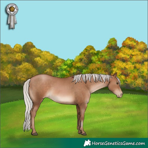Horse Color:White Spotted Silver Brown Pearl