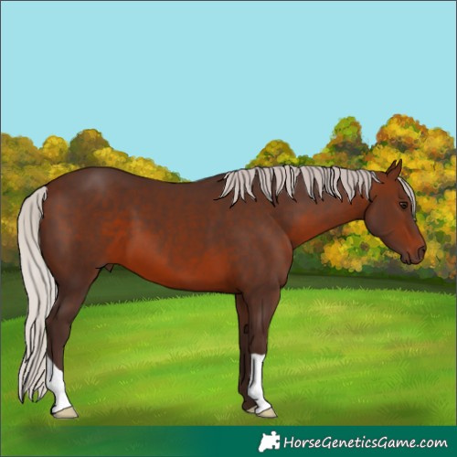 Horse Color:Silver Brown 