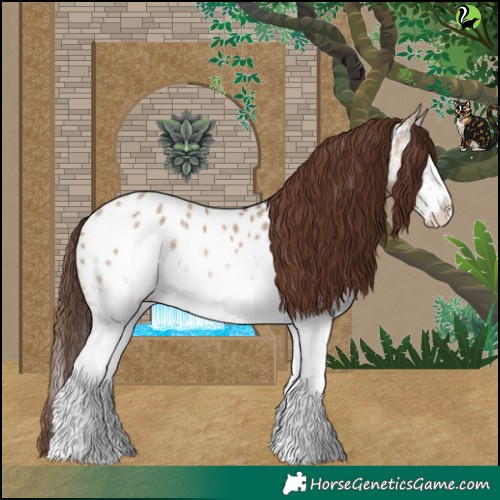 Horse Color:White Spotted Sable Champagne Dun Near Leopard