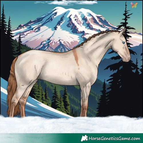 Horse Color:Gold Champagne Dun Rabicano 