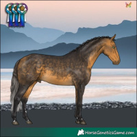 Horse Color:Buckskin 