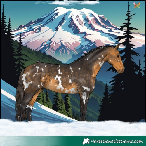 Horse Color:White Spotted Buckskin