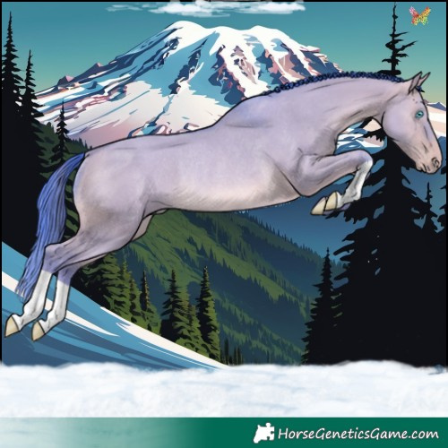 Horse Color:Watercolor Amber Champagne Dun Rabicano