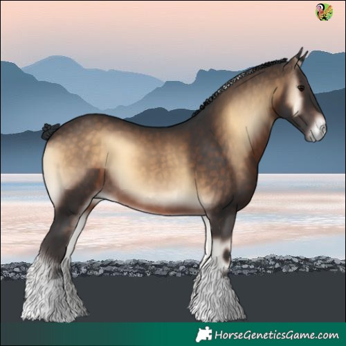 Horse Color:Brown Onyx Tobiano