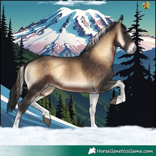 Horse Color:Brown Onyx Tobiano 