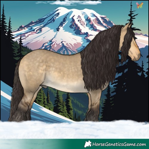 Horse Color:Buckskin Dun 