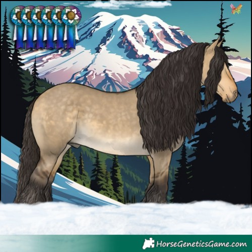 Horse Color:Buckskin Dun 