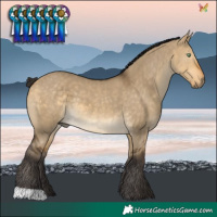 Horse Color:Buckskin Dun