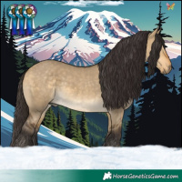 Horse Color:Buckskin Dun