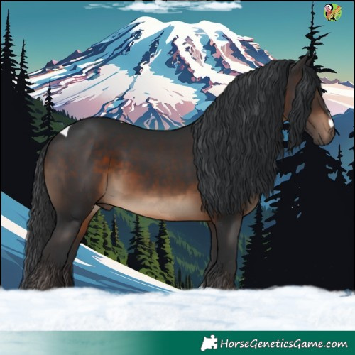 Horse Color:Brown Tobiano 