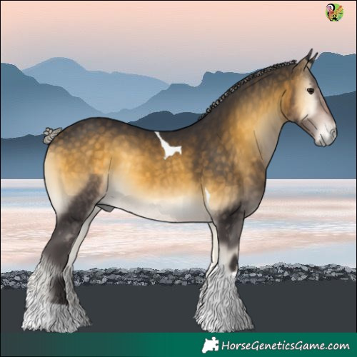 Horse Color:Silver Buckskin Onyx Tobiano