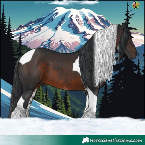 Horse Color:Brown Tobiano