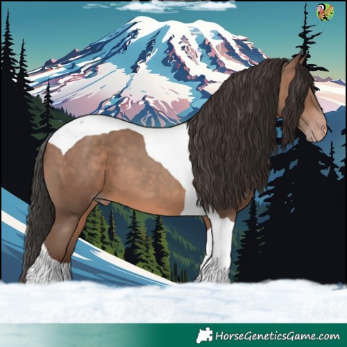 Horse Color:Sable Champagne Tobiano 