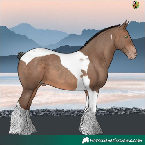 Horse Color:Sable Champagne Tobiano 