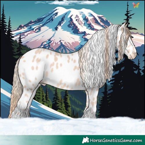 Horse Color:Perlino Appaloosa