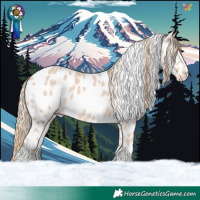 Horse Color:Perlino Appaloosa