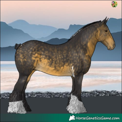Horse Color:Buckskin Tobiano Rabicano
