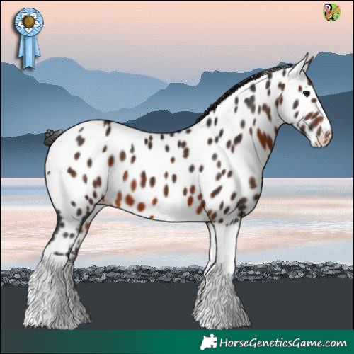 Horse Color:Brown Tobiano Near Leopard