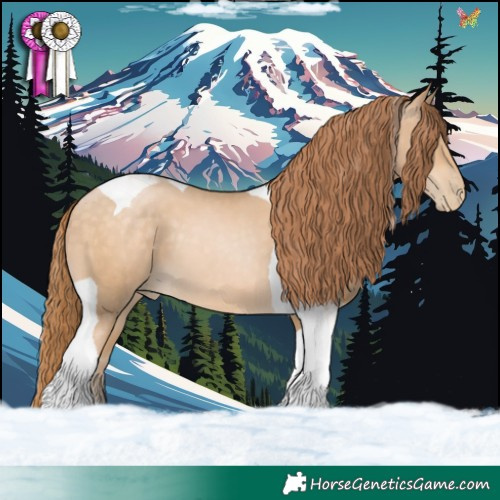 Horse Color:Buckskin Pearl Tobiano