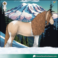 Horse Color:Buckskin Pearl Tobiano