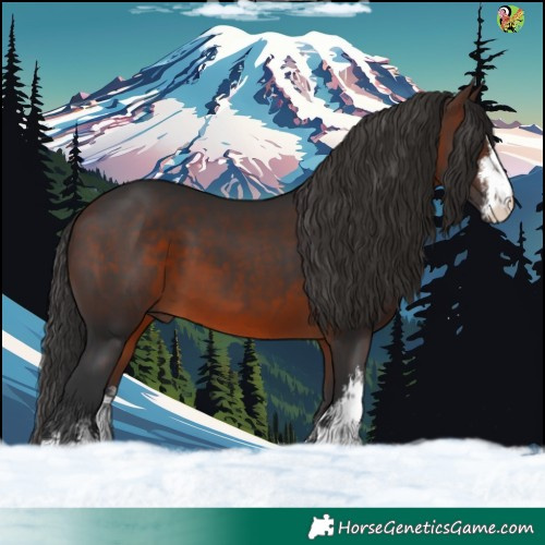 Horse Color:White Spotted Brown 