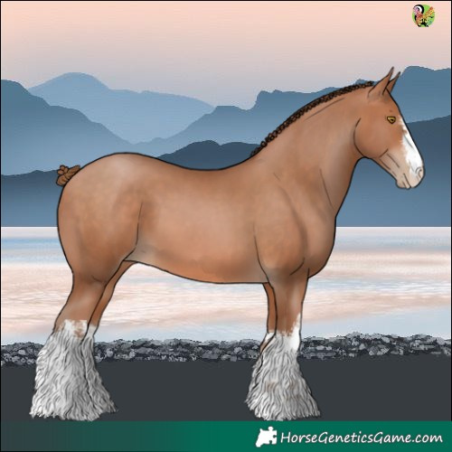 Horse Color:White Spotted Brown Pearl 