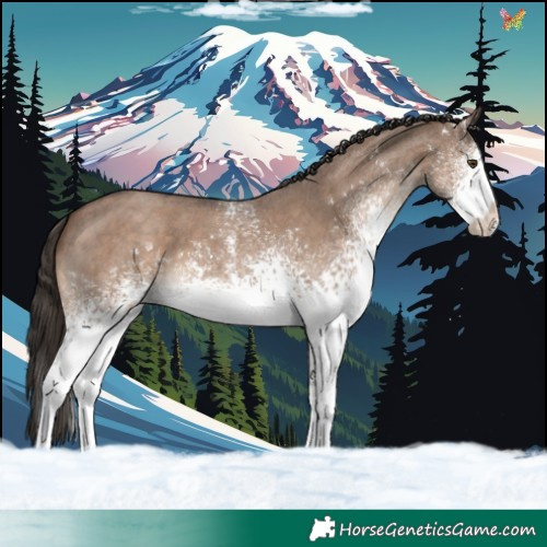 Horse Color:White Spotted Liver Red Dun Sabino 