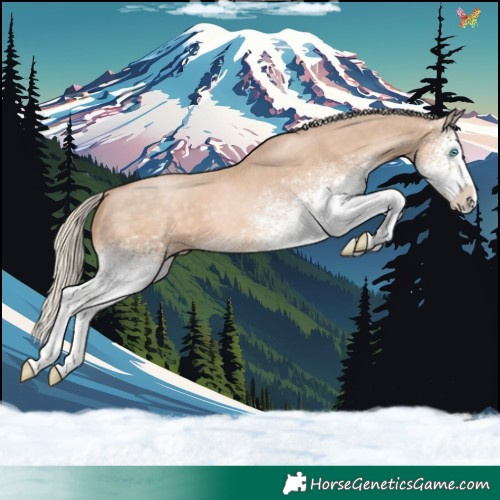 Horse Color:White Spotted Chocolate Palomino Pearl Sabino Splash 