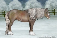 Horse Color:Silver Black Sabino Splash
