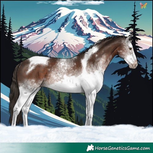 Horse Color:White Spotted Liver Chestnut Tobiano Frame Rabicano