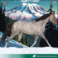 Horse Color:White Spotted Brown Roan Dun