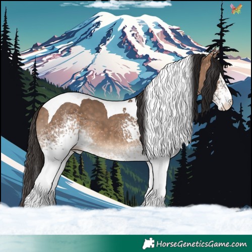 Horse Color:White Spotted Bay Dun Tobiano