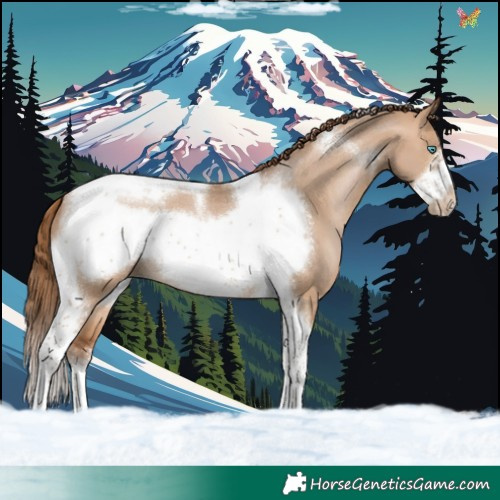 Horse Color:White Spotted Brown Pearl Dun Tobiano Frame
