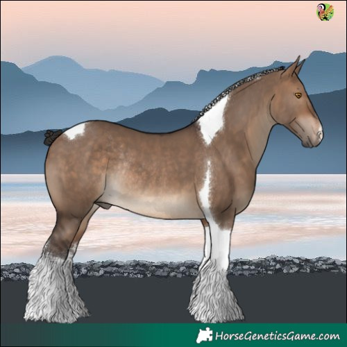 Horse Color:White Spotted Brown Dun Tobiano Rabicano