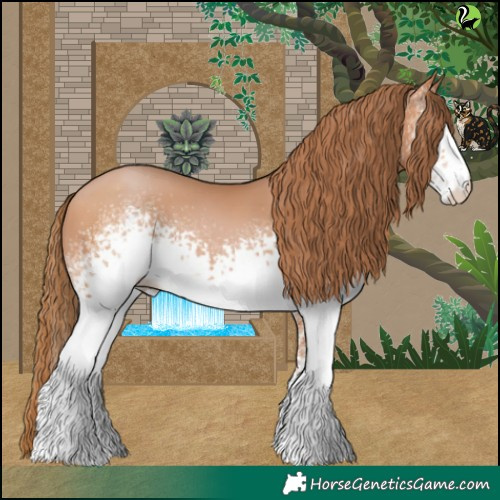 Horse Color:White Spotted Bay Pearl