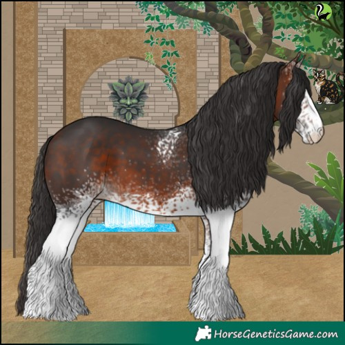 Horse Color:White Spotted Bay 