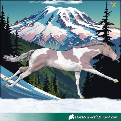 Horse Color:Watercolor Silver Sable Champagne Tobiano 
