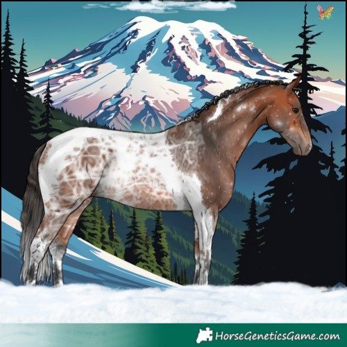 Horse Color:Bay Ice Tobiano Rabicano