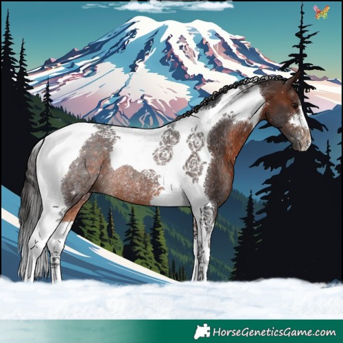 Horse Color:Brown Tobiano Rabicano