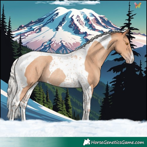 Horse Color:Silver Classic Champagne Tobiano Rabicano 