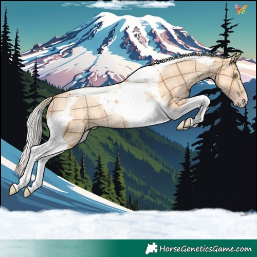 Horse Color:Plaid Silver Amber Champagne Dun Tobiano Rabicano