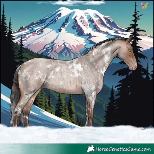 Horse Color:White Spotted Sable Champagne Roan 