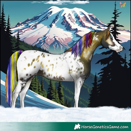 Horse Color:Painted Brown Onyx Splash Tobiano Near Leopard