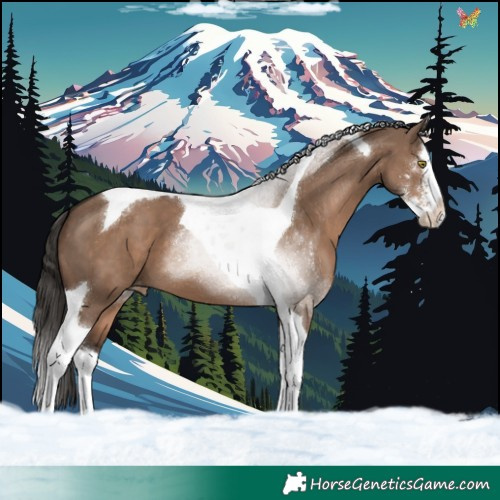 Horse Color:Liver Red Dun Sabino Splash Tobiano Varnish