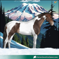 Horse Color:Brown Tobiano Varnish