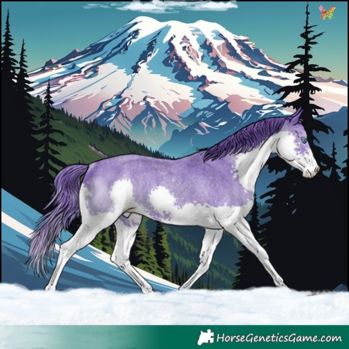 Horse Color:Watercolor Blue Roan Splash Rabicano 