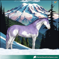 Horse Color:Watercolor Blue Roan Splash Rabicano 