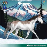 Horse Color:Sable Champagne Splash